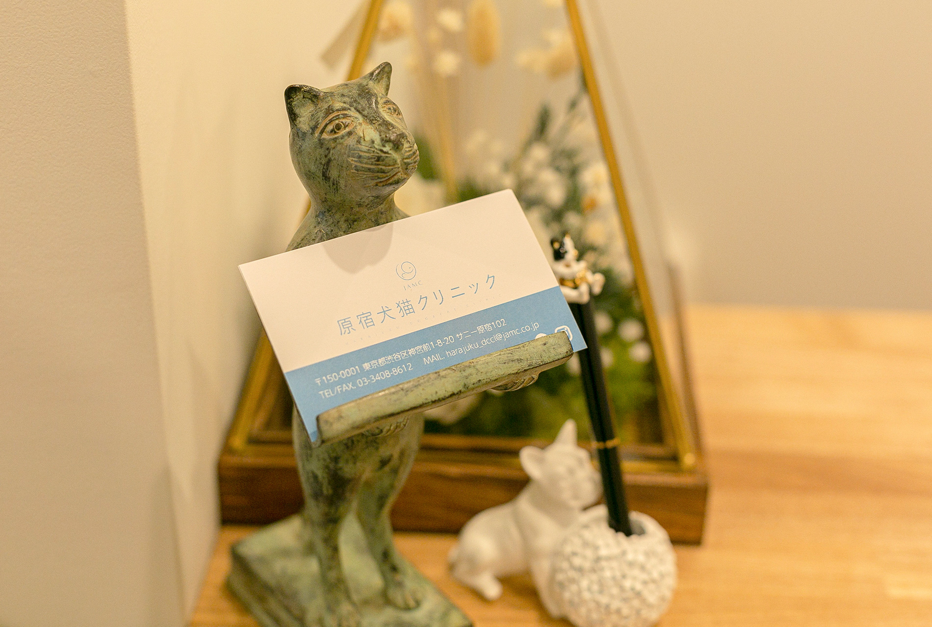 原宿犬猫クリニック 原宿 神宮前 表参道に新しくオープンした動物病院です かわいく健康的な生活をサポートします