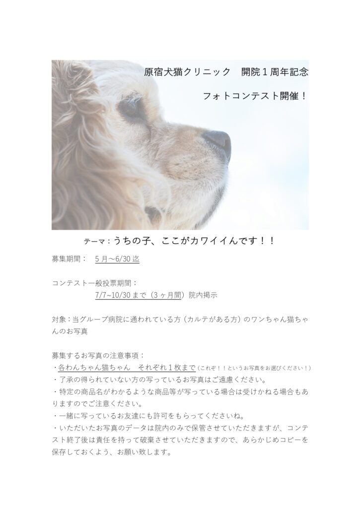 原宿犬猫クリニック 開院1周年記念 フォトコンテスト開催 原宿犬猫クリニック